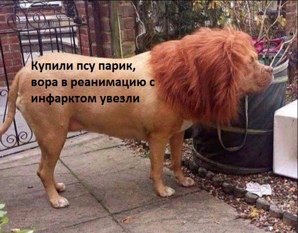 images10147-2798303775