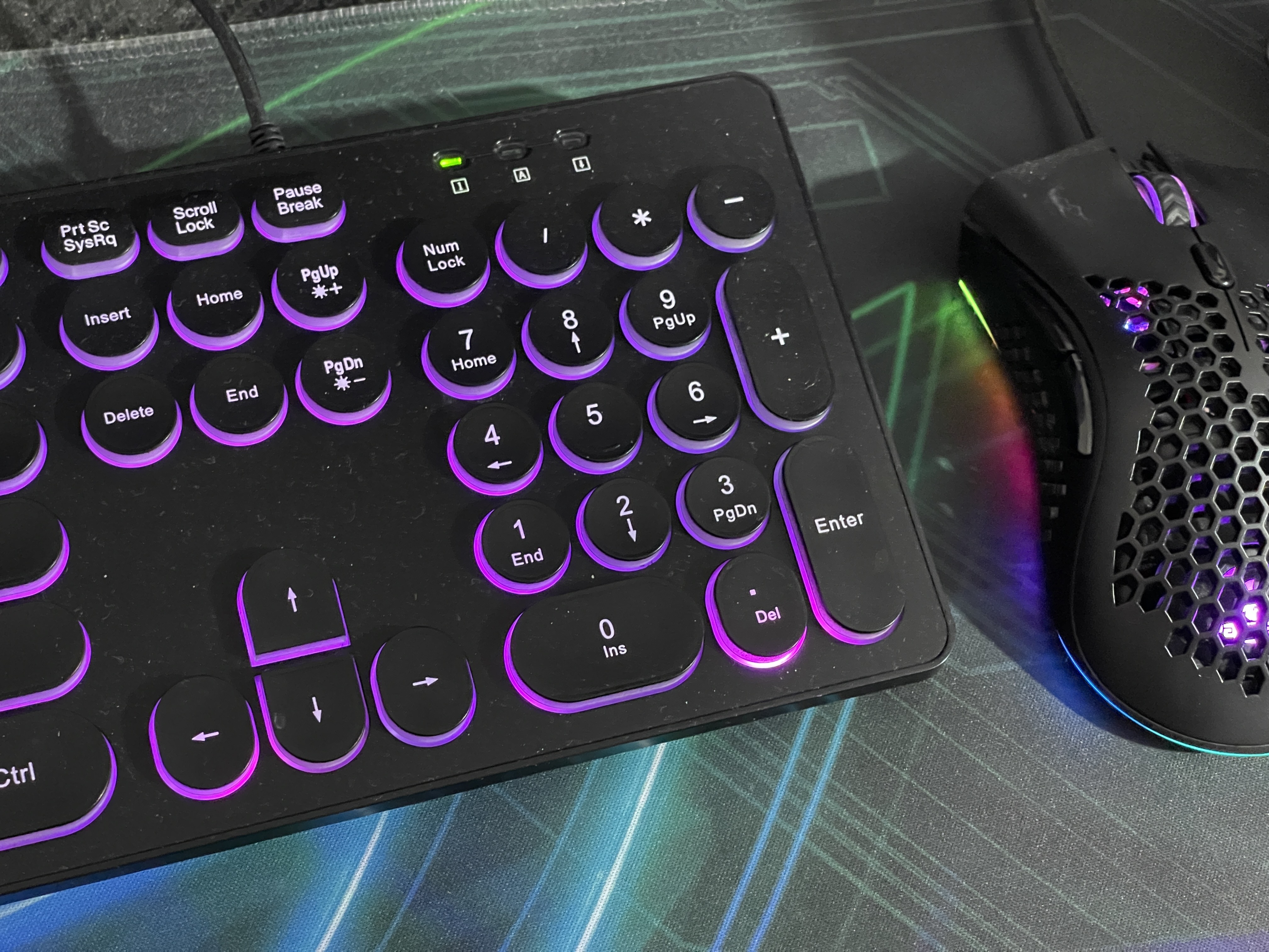 imagepicker3FE6864F-7B3D-4A8B-9C9F-8150738C2EF1-27335-000003FA55E49301