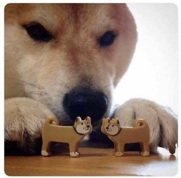 52b42d5310b8b13d70b56d8e0de975cf