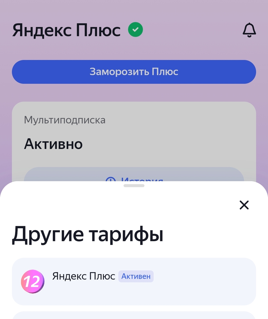 1000046251