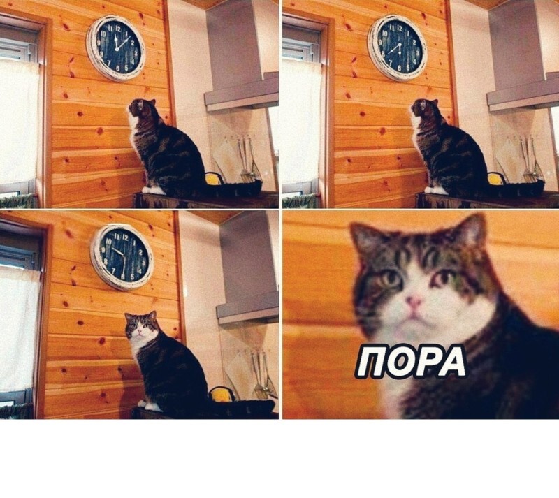 1000089891