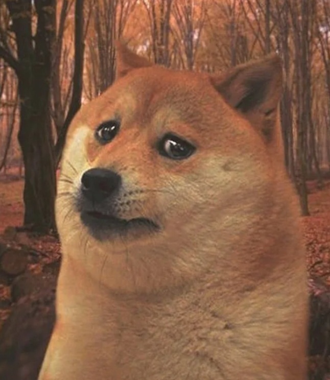 1000018792