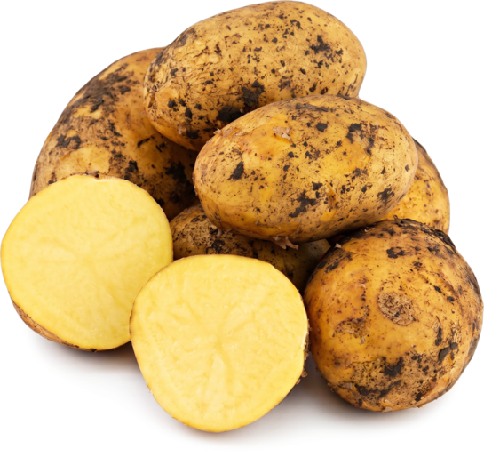 [Рыбинск] Картофель белый молодой,  1 кг