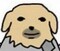 user_photo