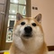 user_photo