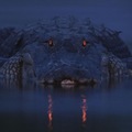 Not_Friendly