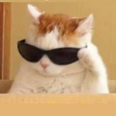 Никита_Шевченко