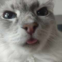 Гасан_Садыков