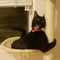 user_photo