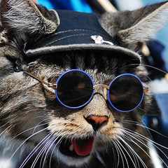 Александр_МатвеевSlJ