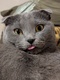 OtiS_Yalta