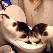 Илья_Волочков