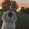 user_photo