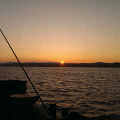 ТаежныйЖитель