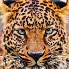 Юрий_Михайлов