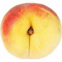 Дегустатор