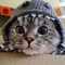 user_photo