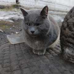 Дмитрий_Ставицкий