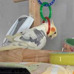 Рамиль_Суляев