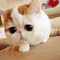 user_photo