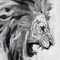 Lion_Hot
