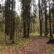 Алексей_Каширин