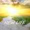NewLife_