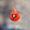 Spring_Bird