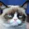 user_photo