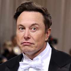 ElonMuskBatutovich