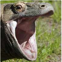 Андрей_Маликов4Q7