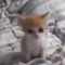 user_photo