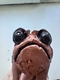 user_photo