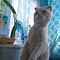 user_photo