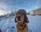 user_photo