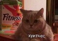 photo_master