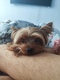 user_photo