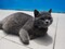 user_photo