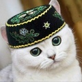 Кокаиновыйбобер
