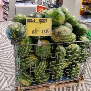 [Светлогорск] Арбуз 1 кг