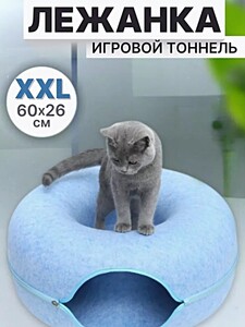 Activity Image