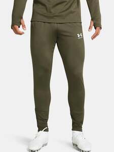 Брюки Under Armour (с картой OZON)