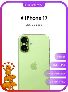 Activity Image