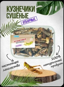 Кузнечики сушёные