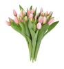 Тюльпаны 25 шт.