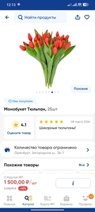 Монобукет Тюльпан, 25шт