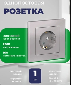 Розетка Schneider Electric однопостовая