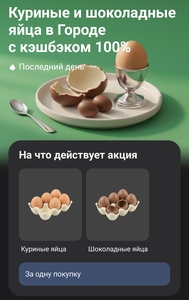 Activity Image