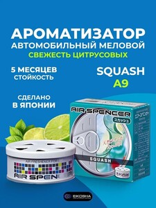 Ароматизатор в машину меловой EIKOSHA Squash A-9 (с картой OZON)