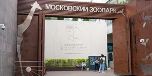 «Ночь в музее» в Московском зоопарке (бесплатное посещение 16 мая с 18:00 до 23:59, онлайн-регистрация)